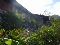 The Golden Frog Inn - 2 звезды