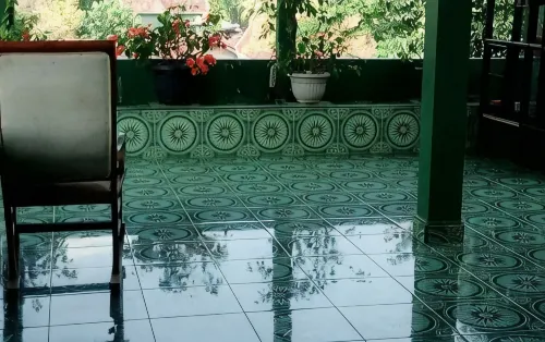 Ardian Borobudur - Ramah Hewan Peliharaan