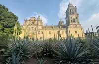 Hotel Unico