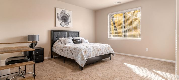 30Min To Lake Tahoe 3BD Private Retreat Parking WiFi Downtown Carson City Hotels in Carson City