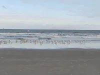 Getting a breath of fresh air by the sea between Bredene and De Haan - Wifi