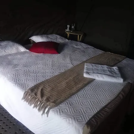 Bush Baby Calls Mobile Camps