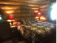 Cozy cottage trails, trout fishing & fireplace.