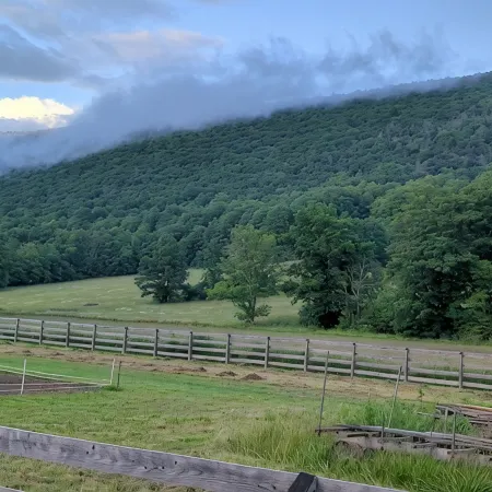 Cozy Creek Cottage, situated between the beautiful rolling hills of Italy, NY