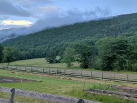 Cozy Creek Cottage, situated between the beautiful rolling hills of Italy, NY - WiFi