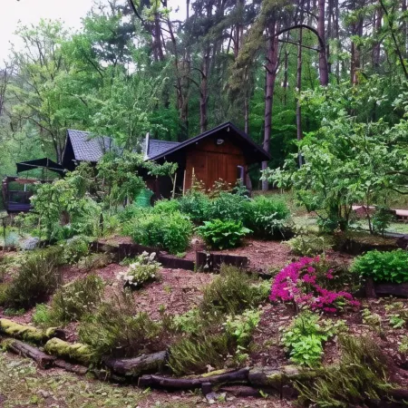 Chalet Near Bitche with Private Sauna