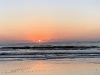 Island Luxury and Location! Between Downtown and the Beach - Apartemen