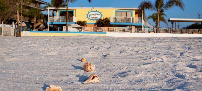 Plaza Beach Hotel - Beachfront Resort Hotels in Pinellas County