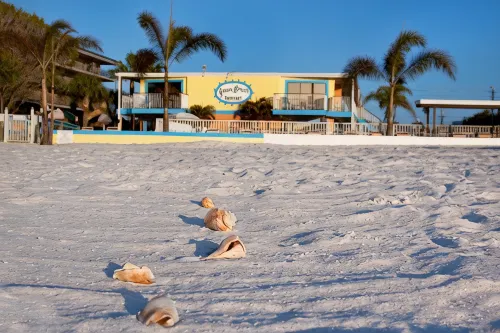 Plaza Beach Hotel - Beachfront Resort - Pools