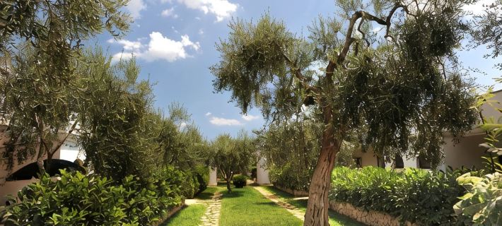 Ferienwohnung Ulivo Mit Pool Und Privatstrand Hotels in Mattinata