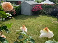 Cozy Modern 2 Bedrooms Apartment Close to Boston - Wifi