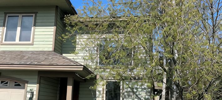 Beautiful Trail Creek Springs Townhome Jackson/Yellowstone/Grand Teton ビクターのホテル