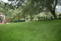 Lux 2/2 w/Firepit Next to Kaweah River & 10 Min from Sequoia National Park - 4-Star