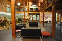 Parque Biologico de Vinhais - Wifi