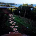 Camino del Sol - Pool
