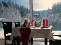 Atrium Hotel Mountain View Predeal Hotels in Azuga