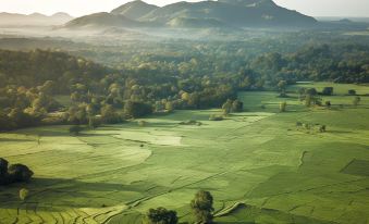 a vast green field with trees and mountains in the background , creating a serene and picturesque landscape at Jetwing Kaduruketha