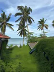 Arugambay Surf Resort Hotels in Arugam