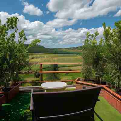 Torciano Hotel Wine & Winery, Tuscany Hotel Exterior