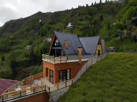 Puleri Suit Bungalow Hotels in Behice Koyu