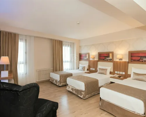 ホテル バイラン バスマネ イズミルのホテル