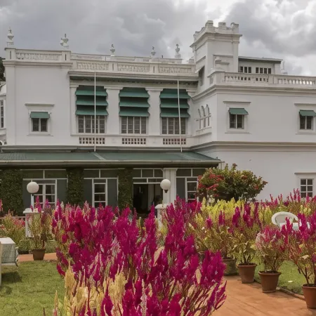 The Green Hotel