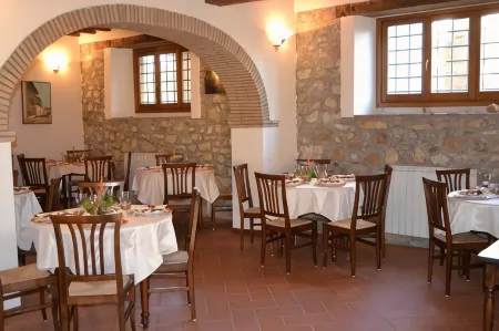 Fattoria di Belvedere