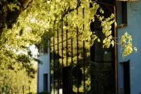 Hôtel le Mouton Bleu Hotels in Duingt