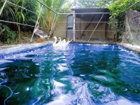 Le Roi Digha Hotels in Digha