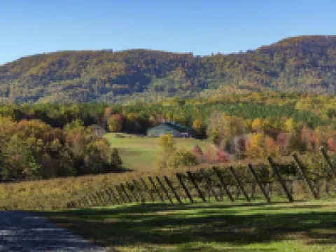 Malbec- our Charming Newly Constructed 2-bedroom Cottage at Jones von Drehle
