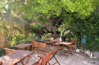 Hotel Petit Royal