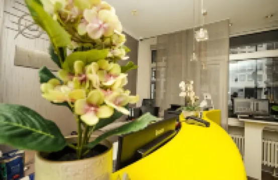 Hotel Scala Frankfurt City Centre - Семейные