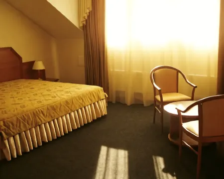 Mon Plezir Hotel Hotels in Vladimir