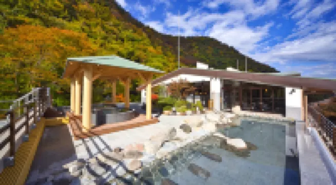 ฮาโกเน่ ยูโมโตะ ออนเซ็น เทนเซเอน