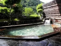 Togurakamiyamadaonsen Shunjyuan Kikusui Ryokan - Hot Springs