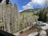 Kaiserhof Hotels in Alpbach