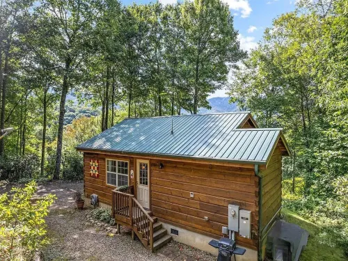 Cozy Mountain Cabin - Amazing View! Central heat/AC, fireplace, firepit