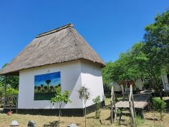 Real African Life Safaris and Camps
