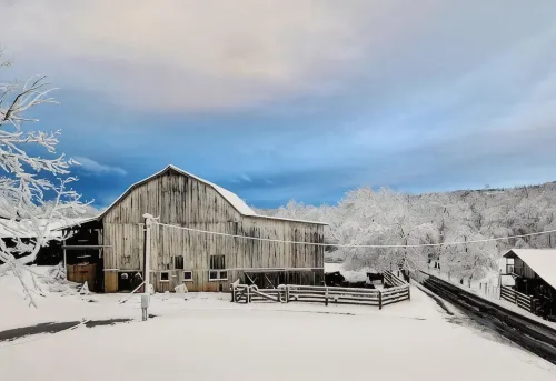 Rustic Luxury w/Horses-Historic Whiskey Distillery - Homestays