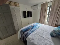 Charming 2- Bedroom Apartment with AC, WiFi in St Thomas' East End Hotels in Frydendal