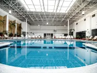 Hotel Galería Plaza Veracruz - Pools