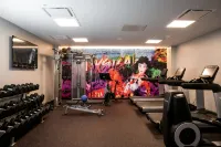 The Nash - Gym
