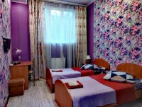 Alyonka Mini-Hotel 克雷斯托維橋附近的飯店