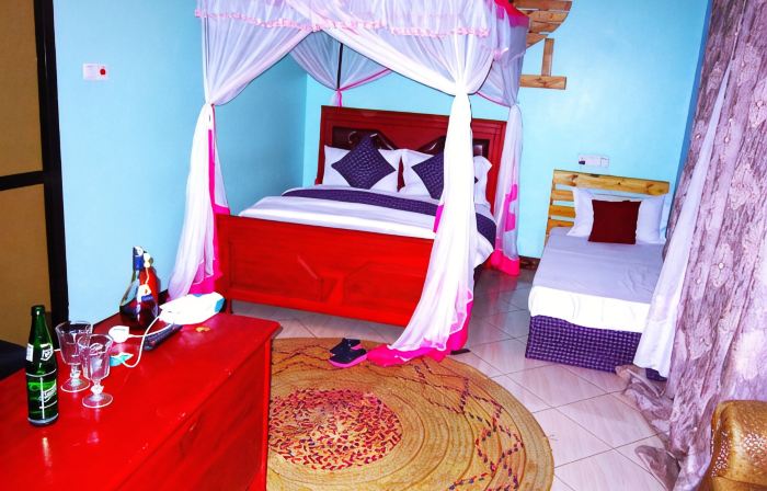 Safari Park House