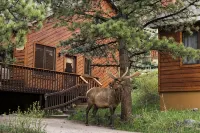 Beautifully Furnished, Clean, Cozy Cabin Next to Rocky! Walk to Rmnp & YMCA - شاليه