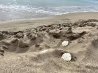 步行可達海灘帶泳池5卧室別墅 - Wi-Fi