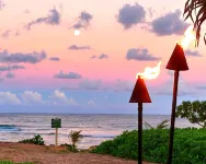 Ocean front studio condo w/views of pool, ocean & Sleeping Giant Mountain - 2 étoiles