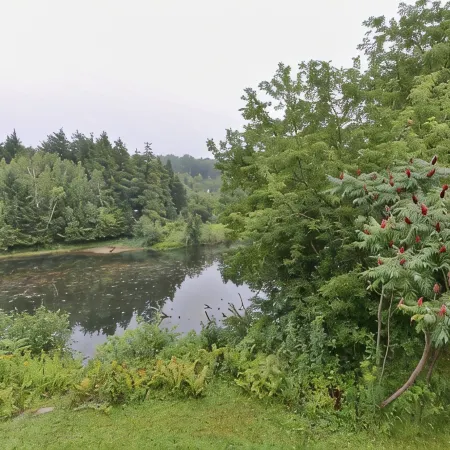 Charming 2 bedroom rental unit in Knowlton village