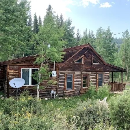 Romantic Private Log Cabin-Dogs Welcome, Fireplace, Near Breck & Hiking