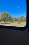 The Alpaca Campa  - Minutes to Nashville - 3つ星